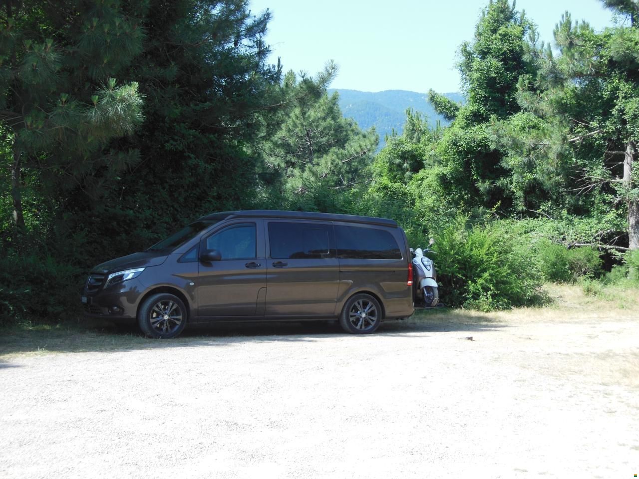 Mercedes Benz Aktivity
