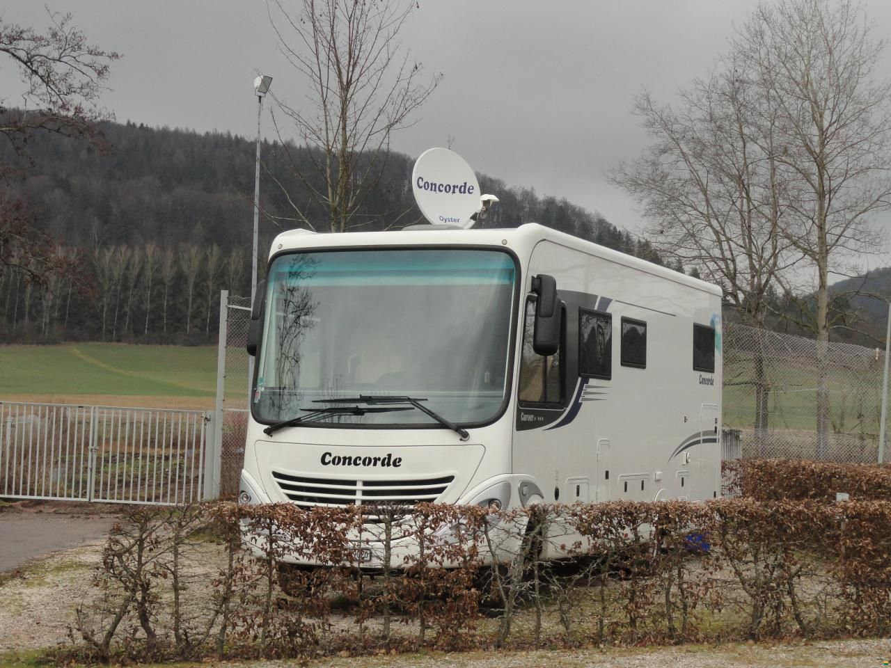 Concorde Carver 228LS