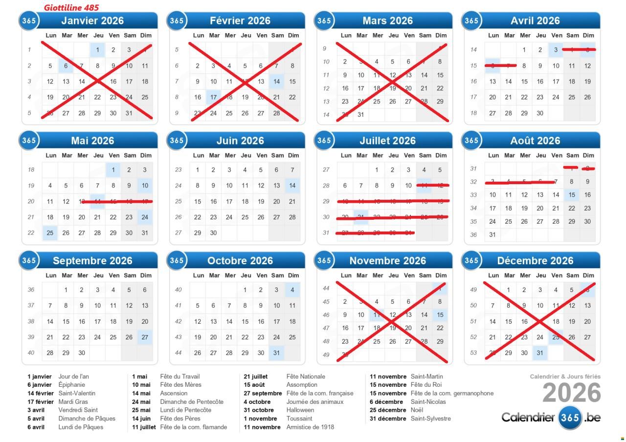 Giottiline Siena 485