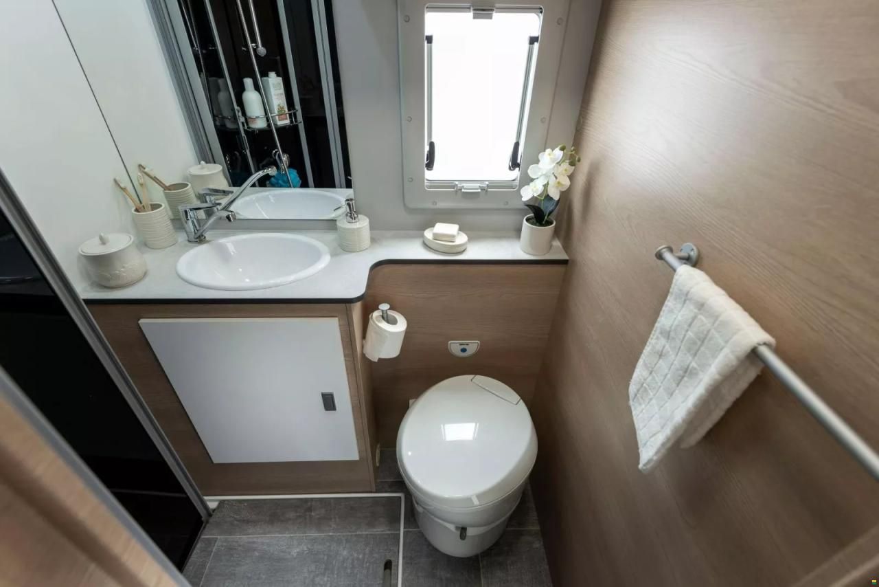 Giottiline Siena 485