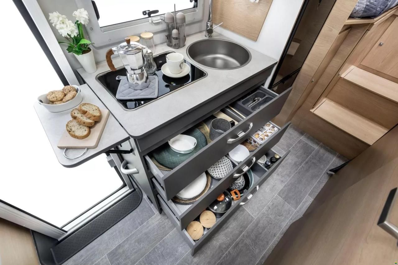 Giottiline Siena 485