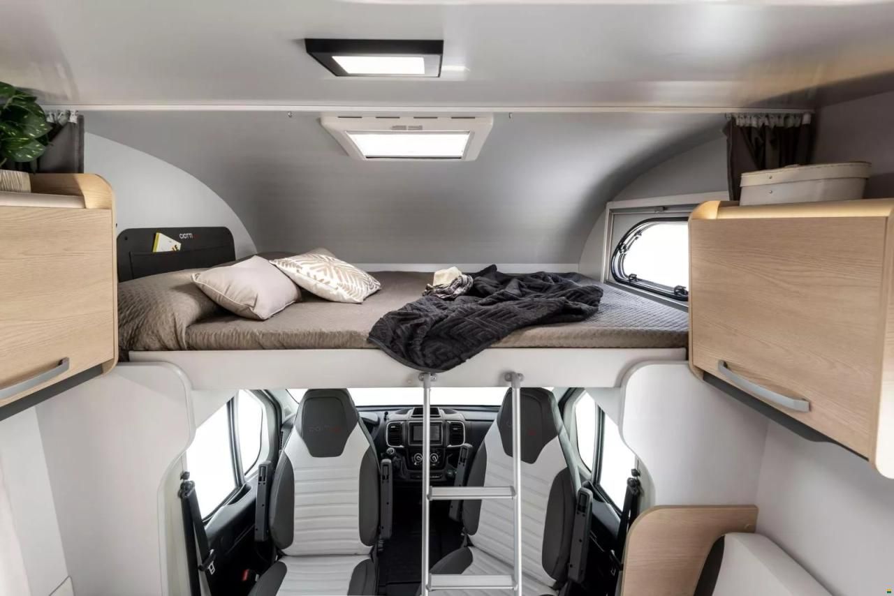 Giottiline Siena 485