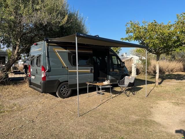 B&uuml;rstner Campeo C 600 B66