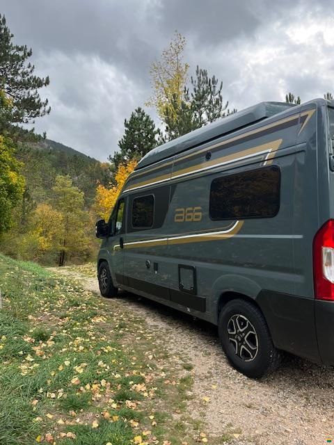 B&uuml;rstner Campeo C 600 B66