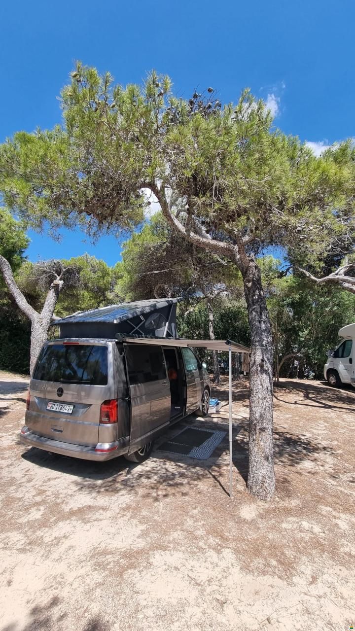 Volkswagen VW California T6.1 Ocean Liberty
