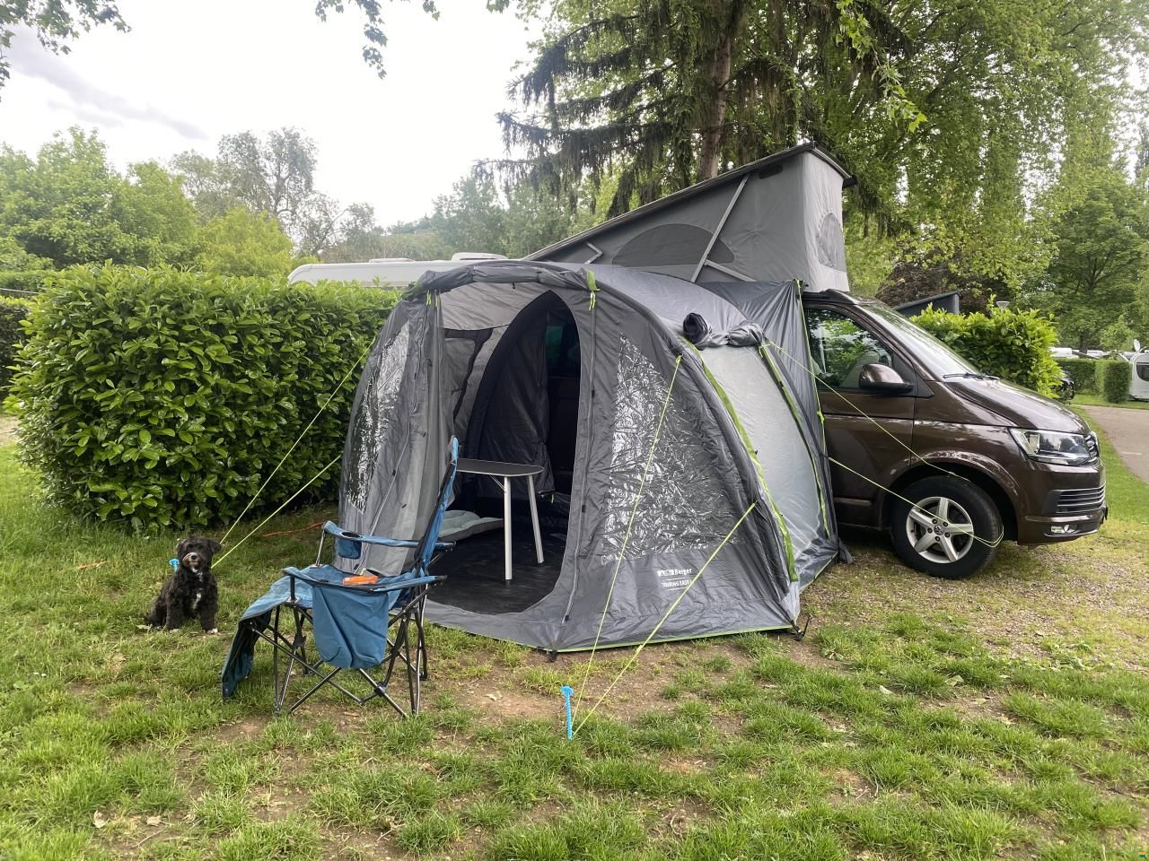 Volkswagen California Ocean T6 TDI motion