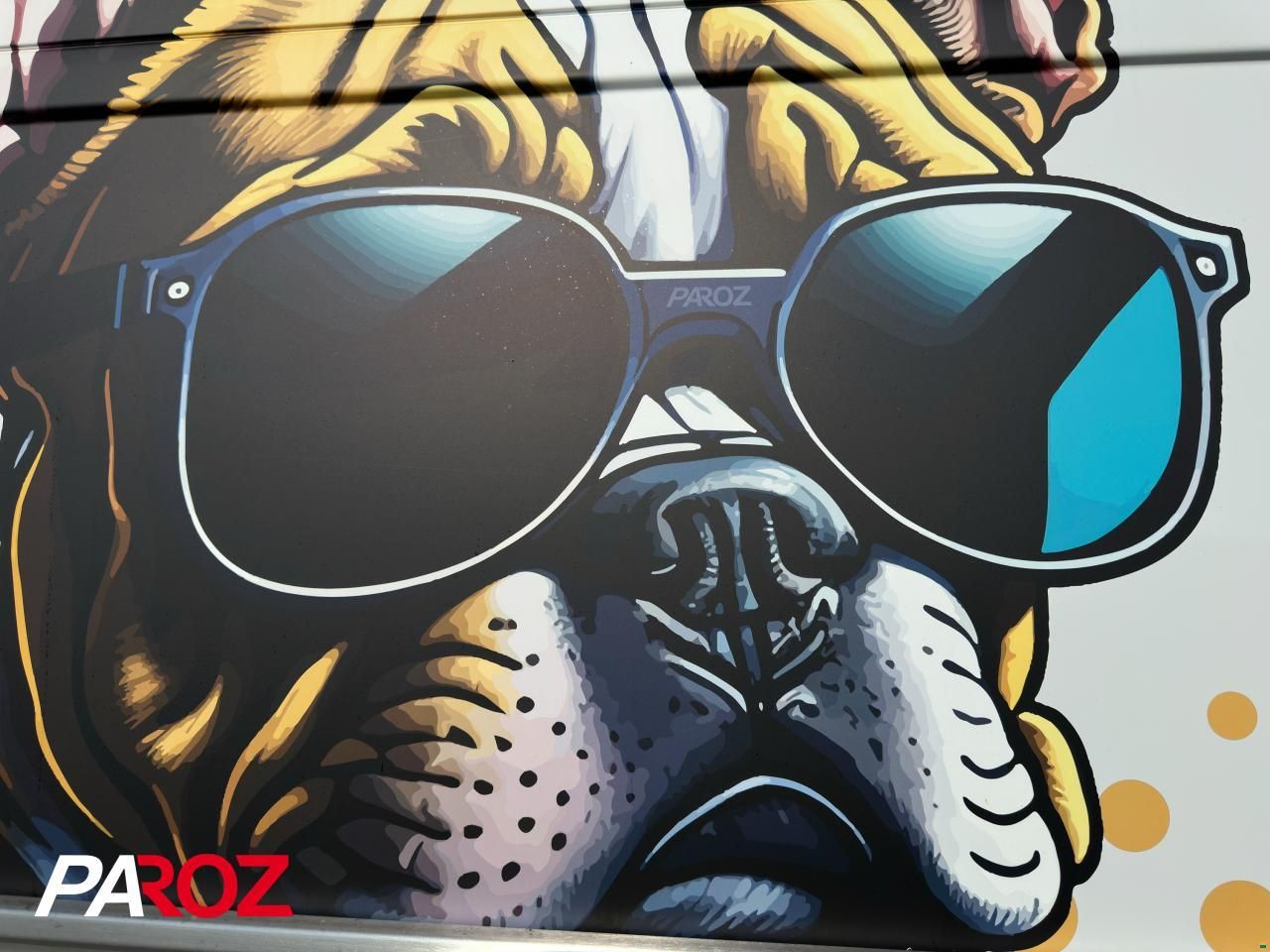 B&uuml;rstner Campeo C 600 Black Forest