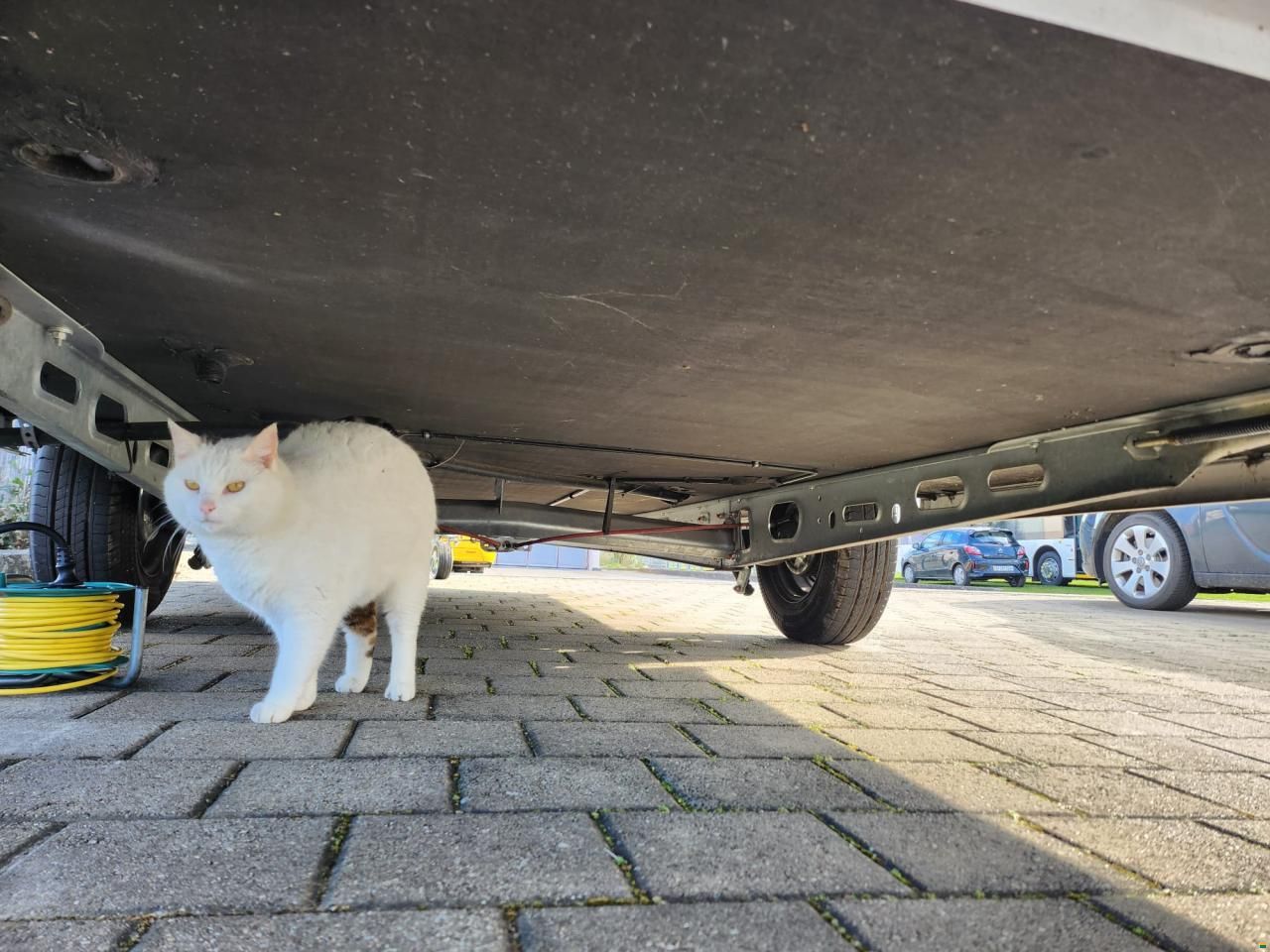 B&uuml;rstner Premio Life 430 TS