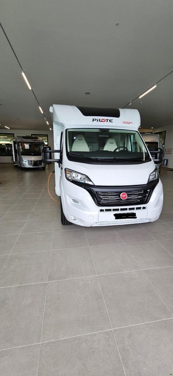 Pilote P696D Expression