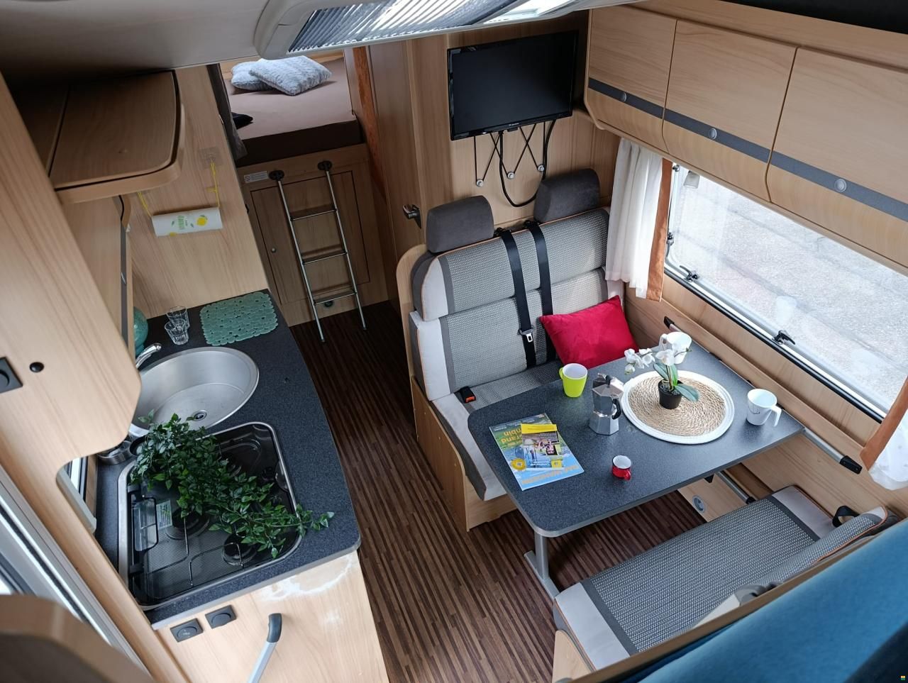 Orangecamp Capron EG/CF 002