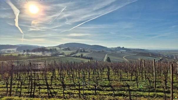 Wilk Wohnwagen mit Holzvorbau