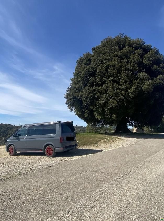 Volkswagen T6.1 California 4 Motion