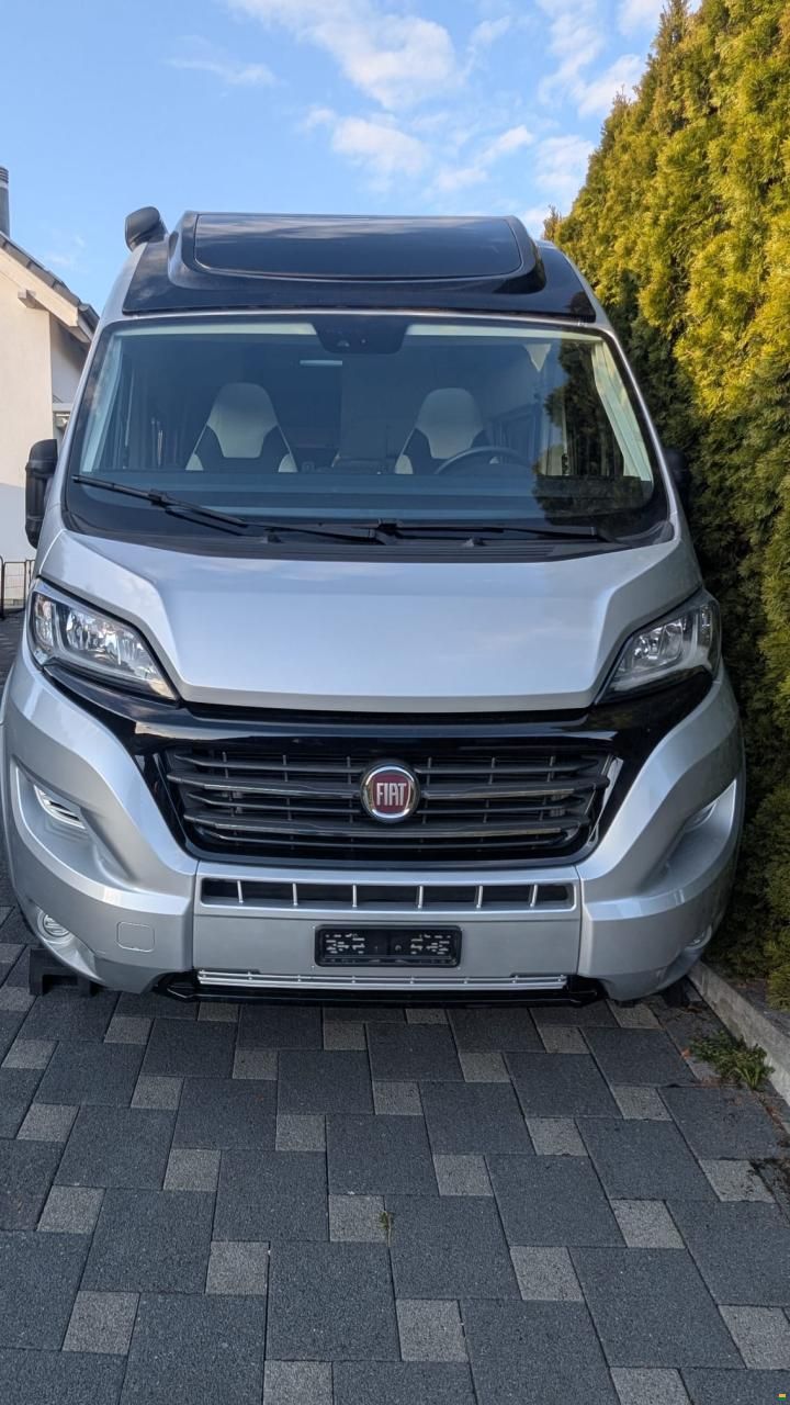 Roller Team Livingstone 5 Advance Maxx