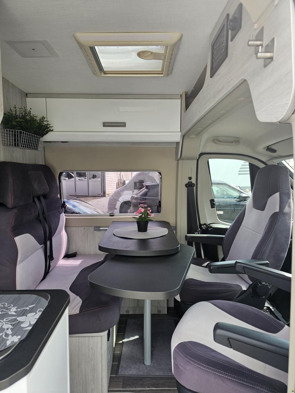 Roller Team Livingstone Duo Sport