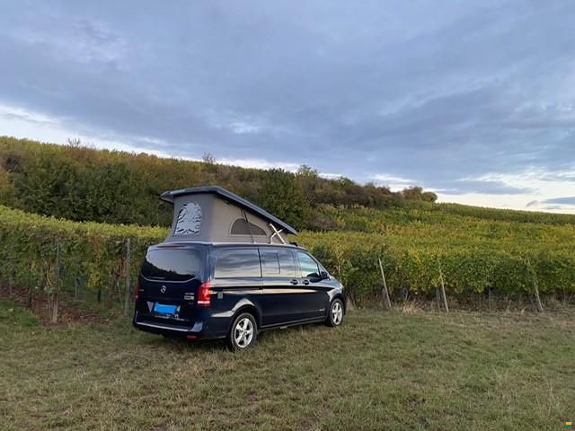 Westfalia Jules Verne