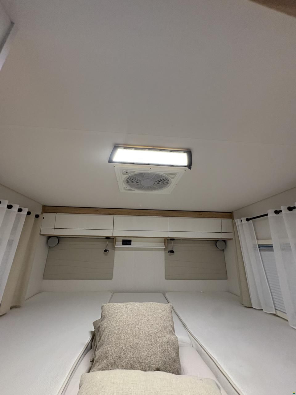 Pilote P726 expression