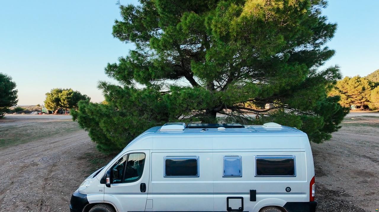 Roller Team Livingstone