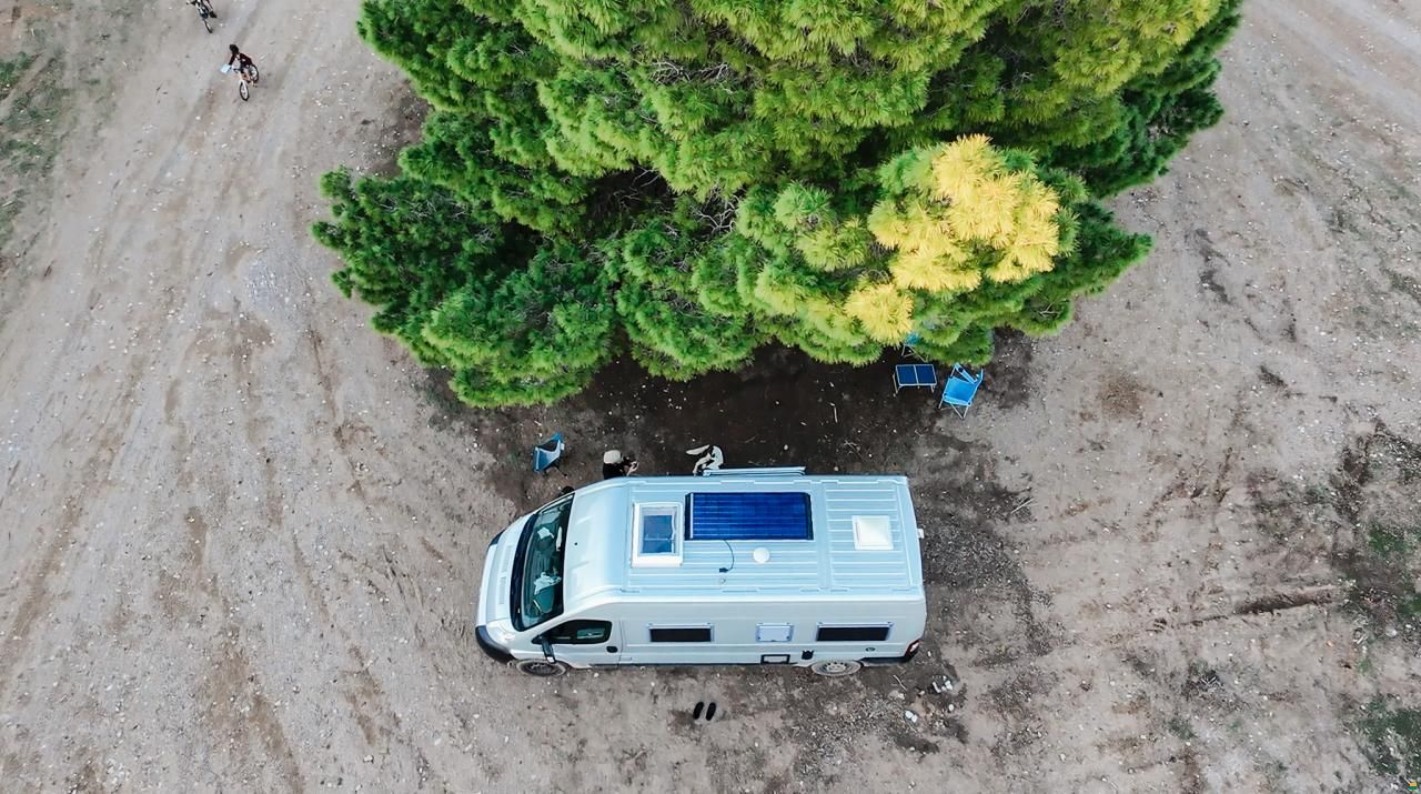 Roller Team Livingstone