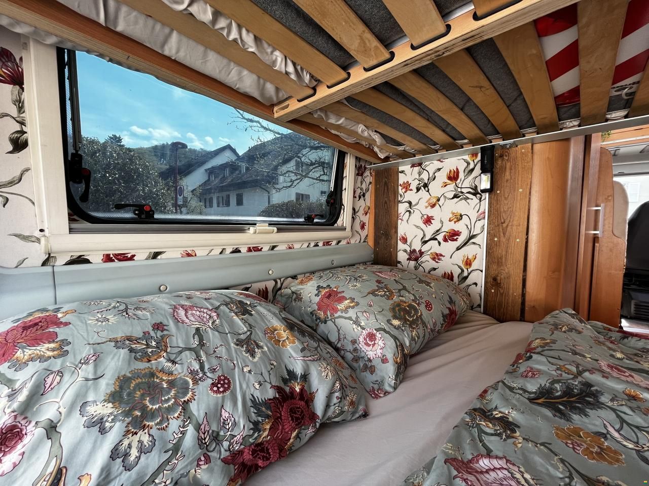 Roller Team Livingstone