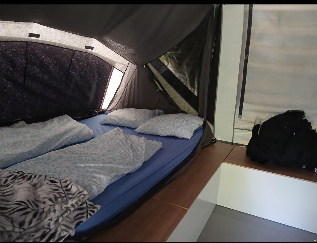 Comanche Oregon Greyline 2022