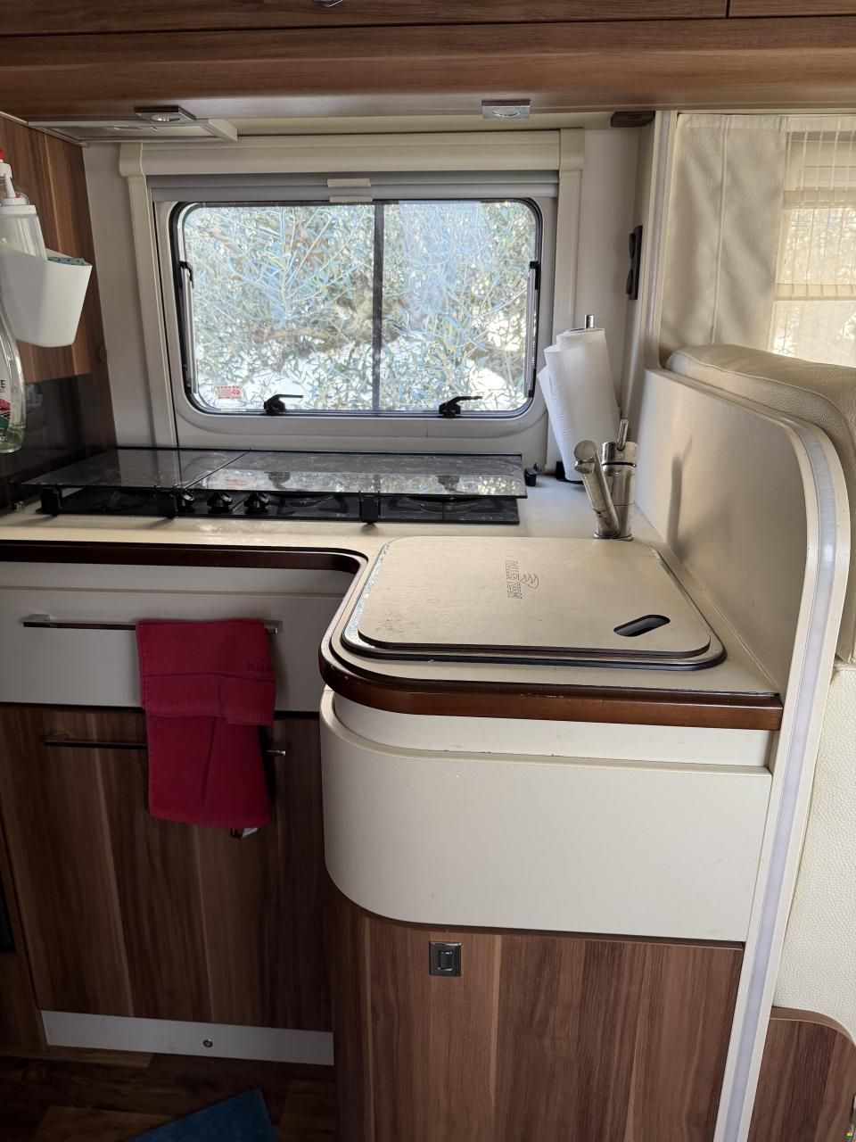 Roller Team Manifico