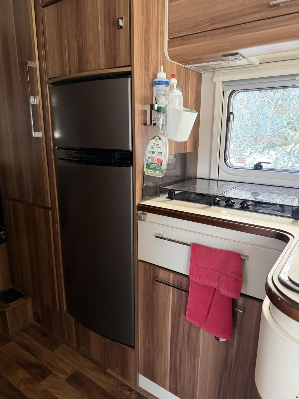 Roller Team Manifico