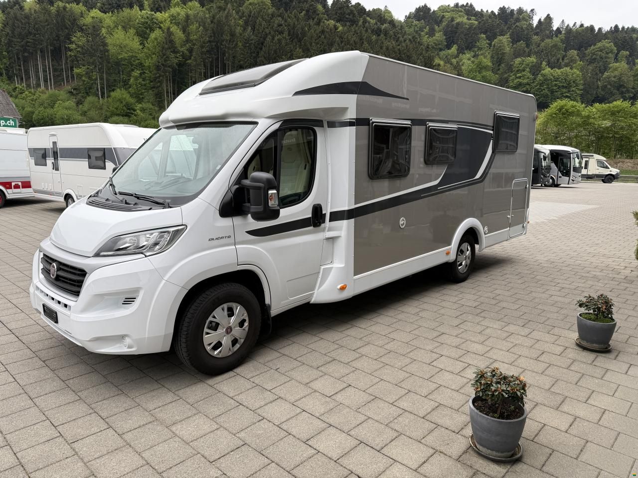 Carado T 449