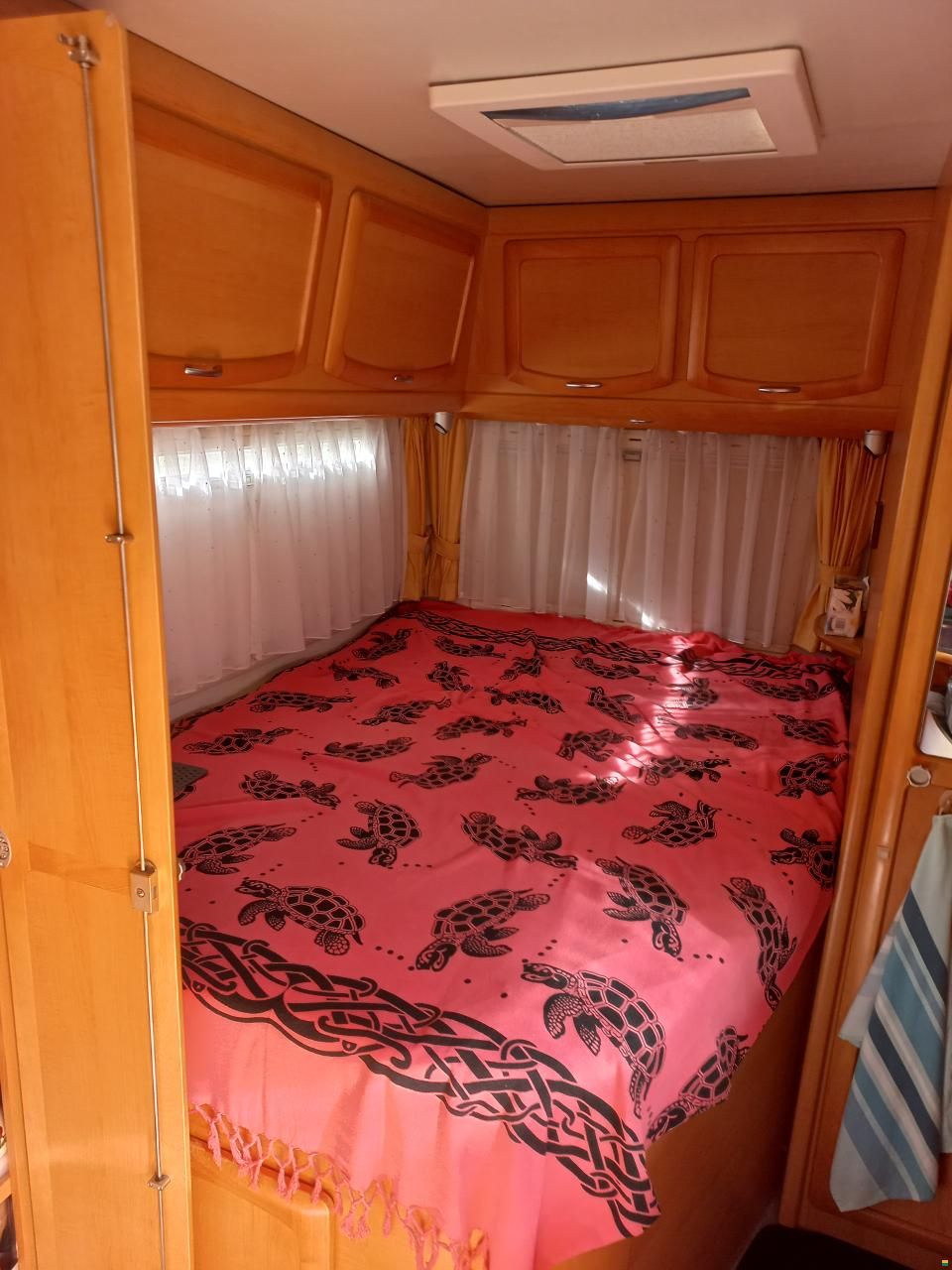 Frankia Holidayclass