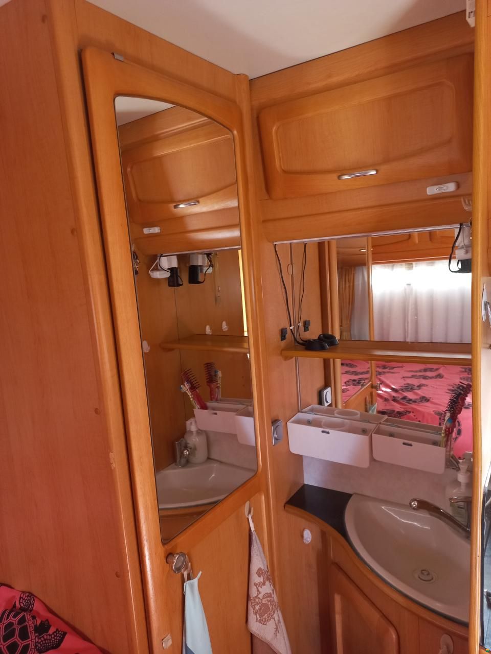 Frankia Holidayclass