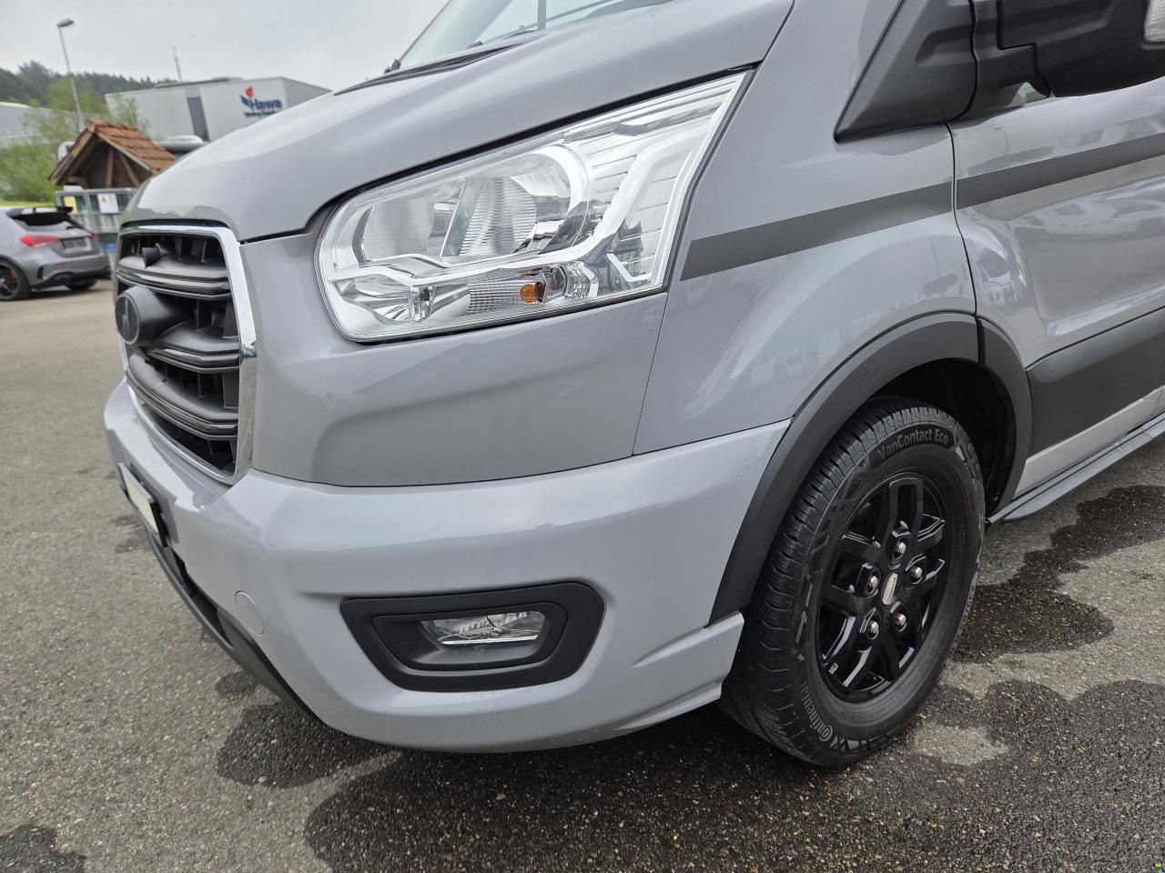 Etrusco CV600 DF