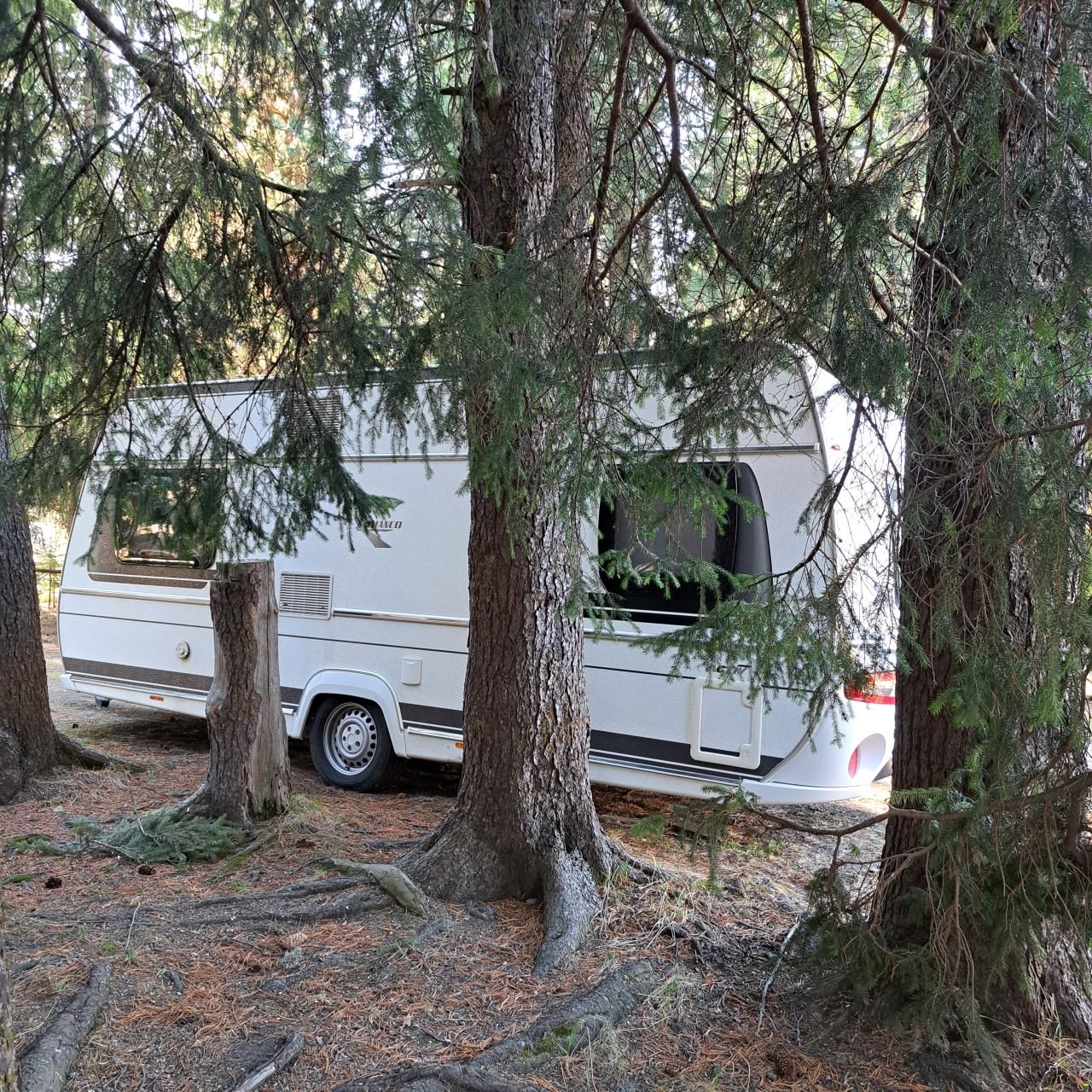 Bianco Activ 495 SFE