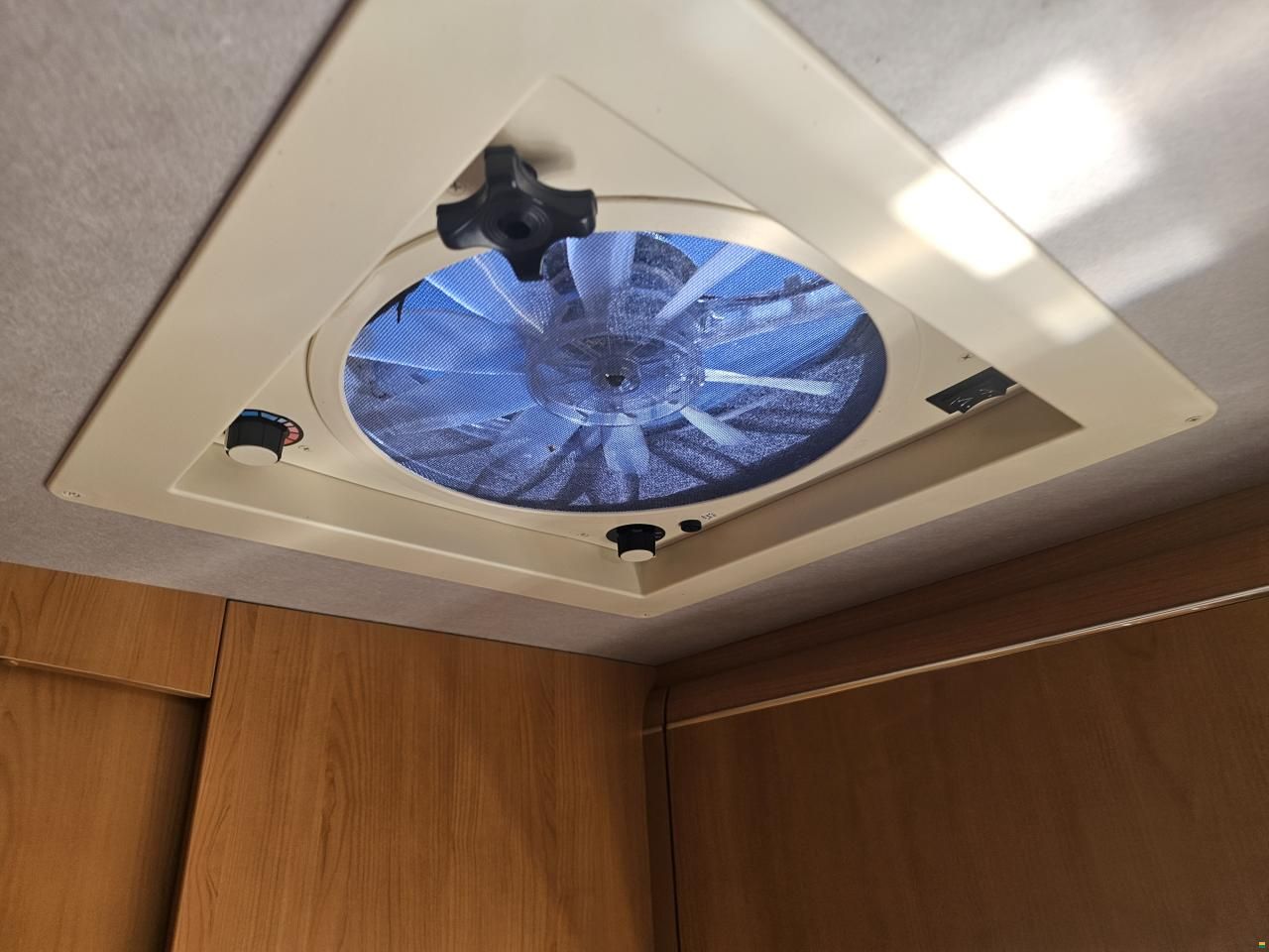 MAN Phoenix Liner