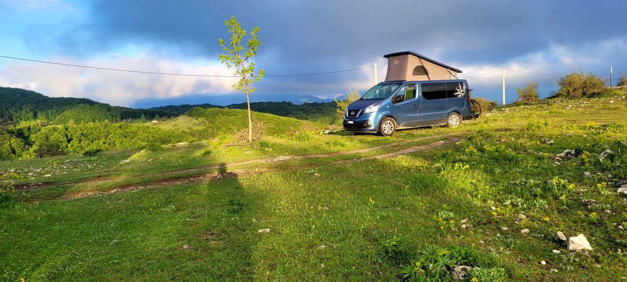 Nissan Westfalia