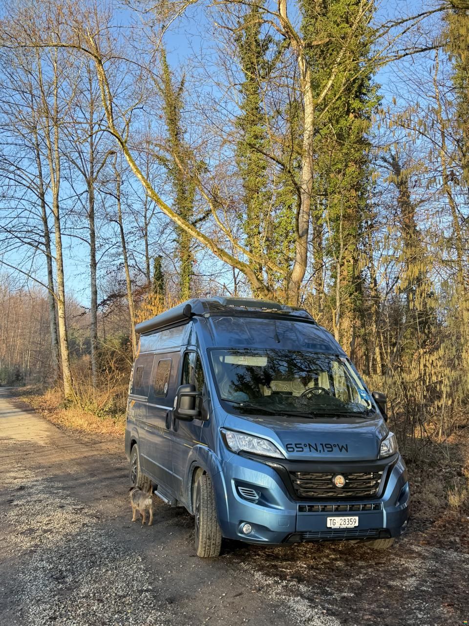 Hymer Free Blue Evolution 540