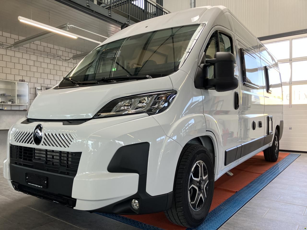 Roller Team Livinstone DUO 600 NEW MODEL