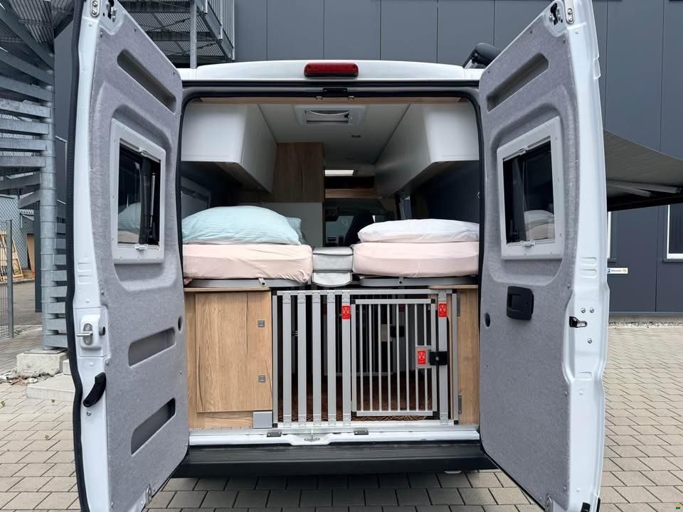 Clever Vans select line spirit 600