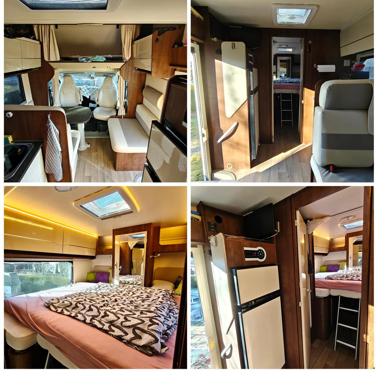 XGO Dynamic 95 Swiss