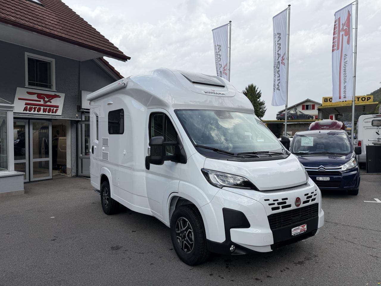 Wingamm Oasi 540.1