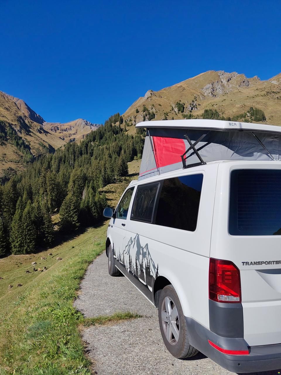 Volkswagen Easy Camper