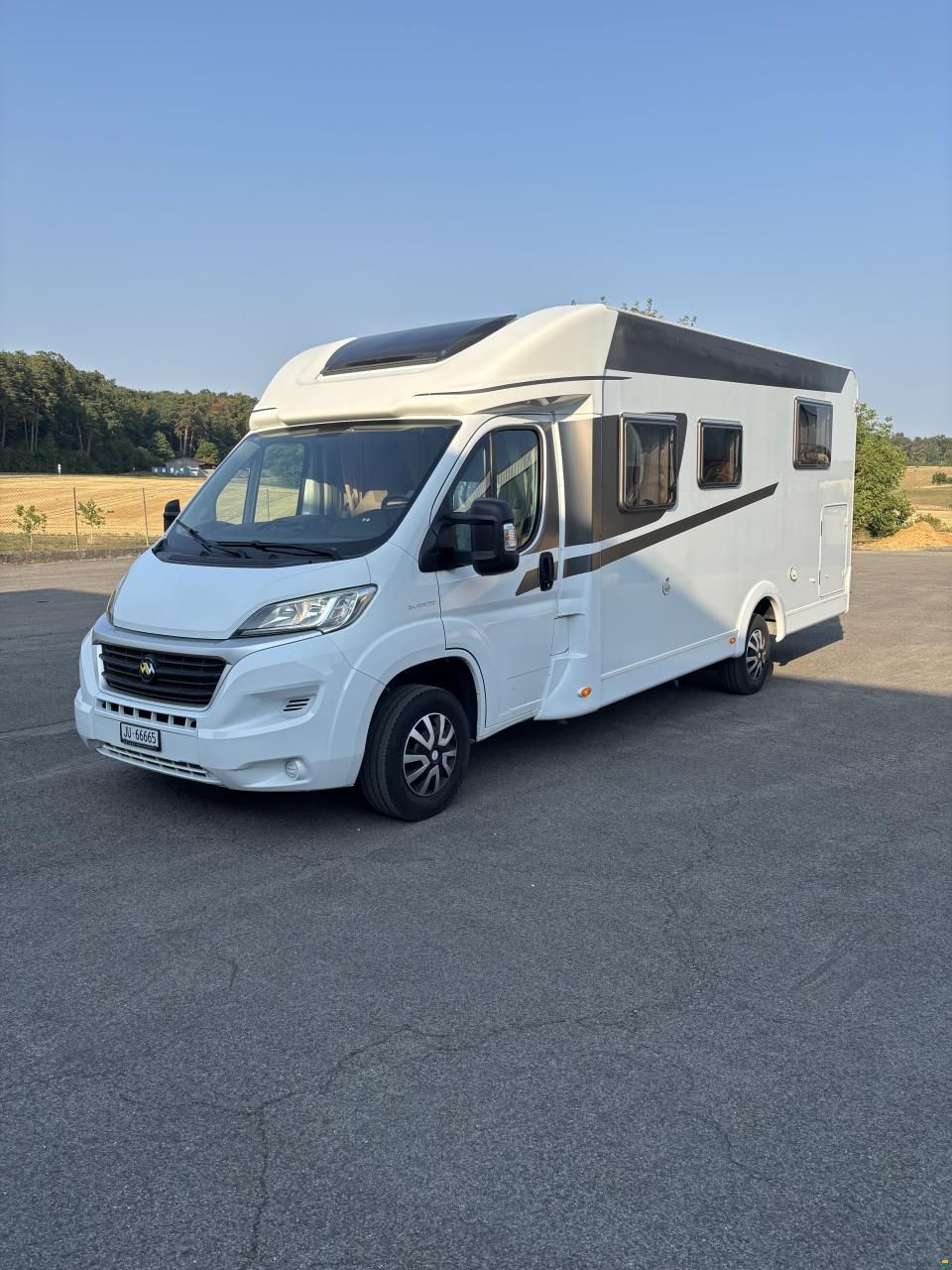 Carado T 447