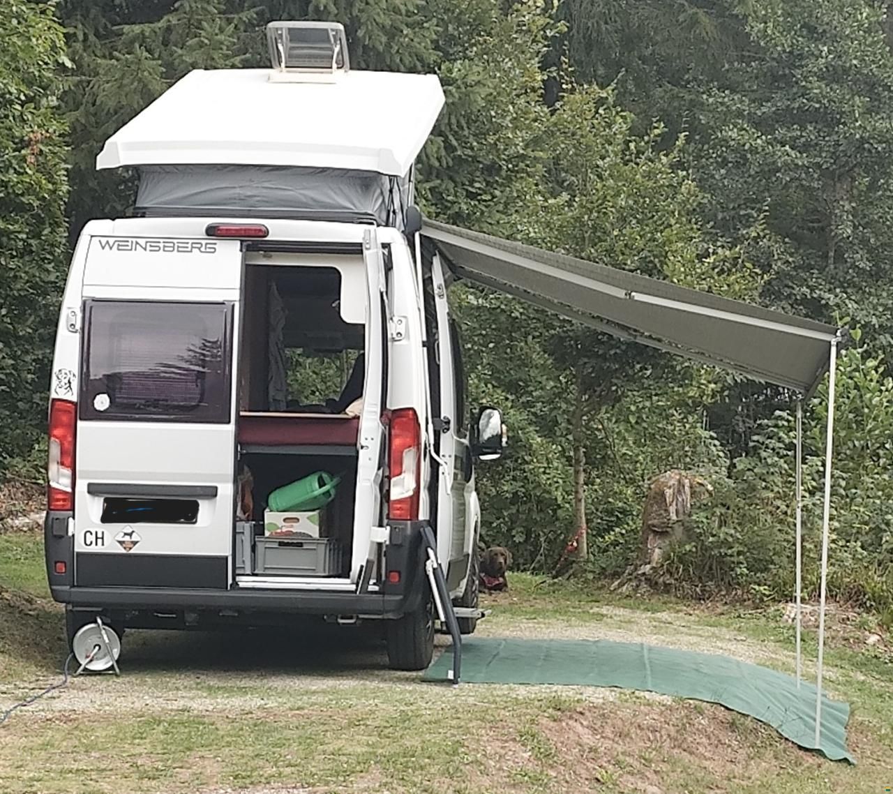 Weinsberg R47 (CaraBus 540 MQ)