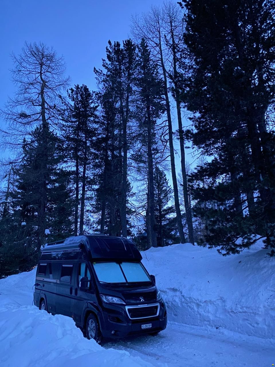 Globe-Traveller Voyager Z