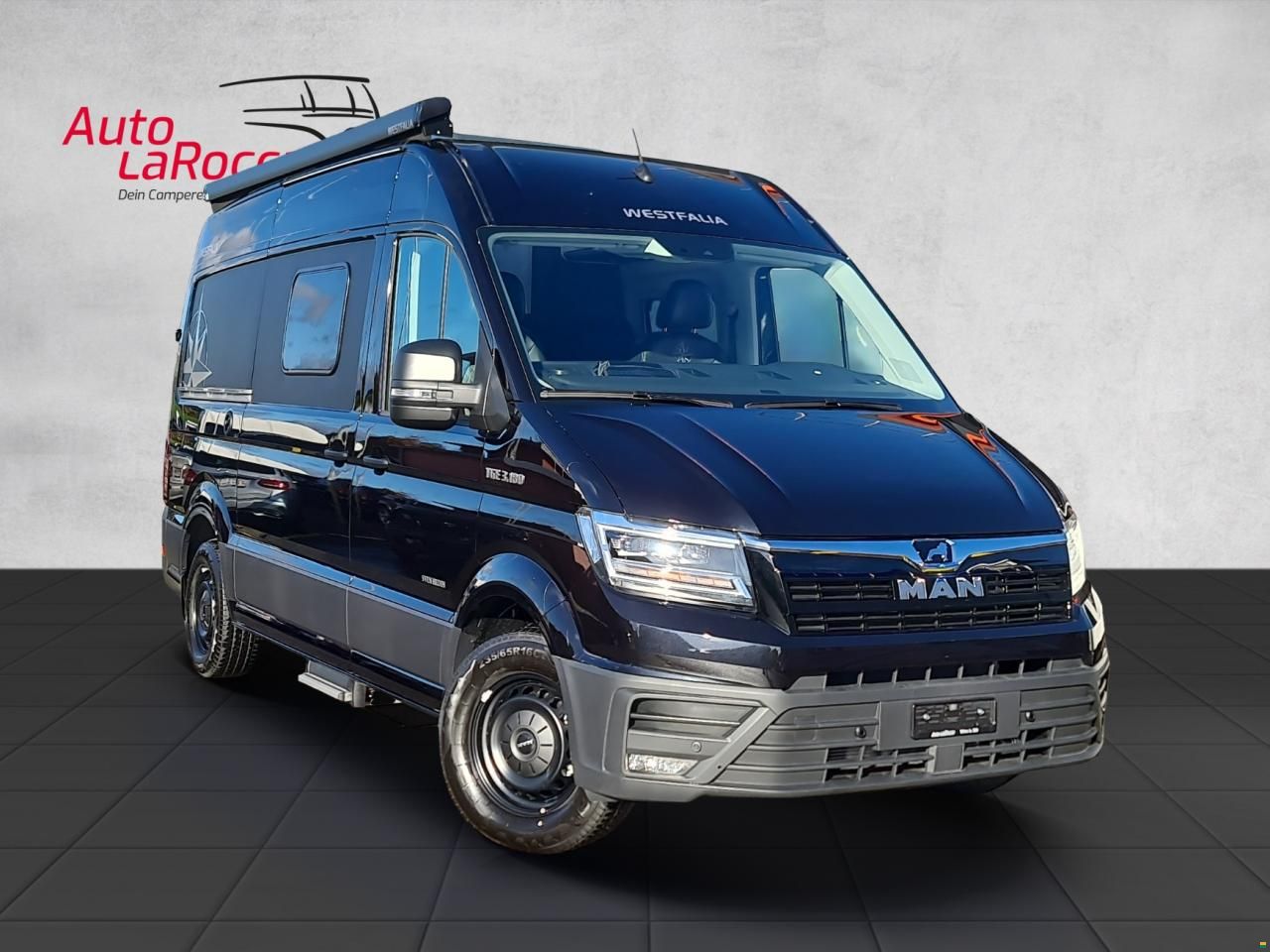 Westfalia Sven Hedin Limited