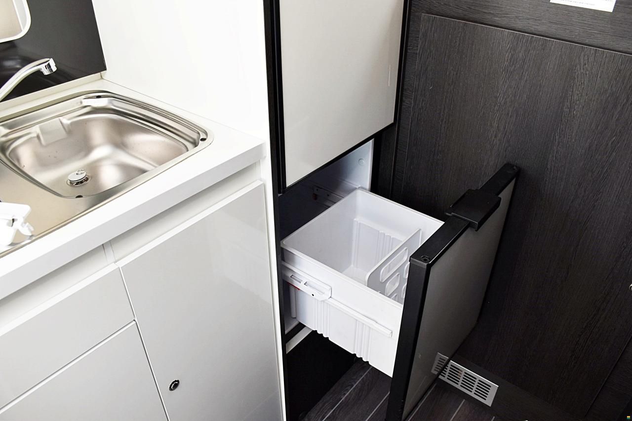 Roller Team KRONOS 291 P 2,0 TDCI DIESEL FORD