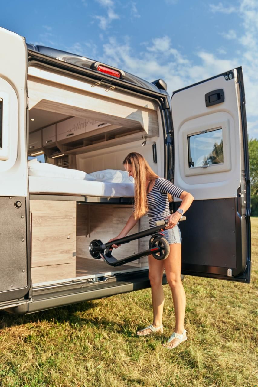 Bravia Mobil Swan 599