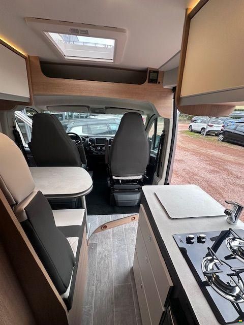 Giottiline Privilege 54T