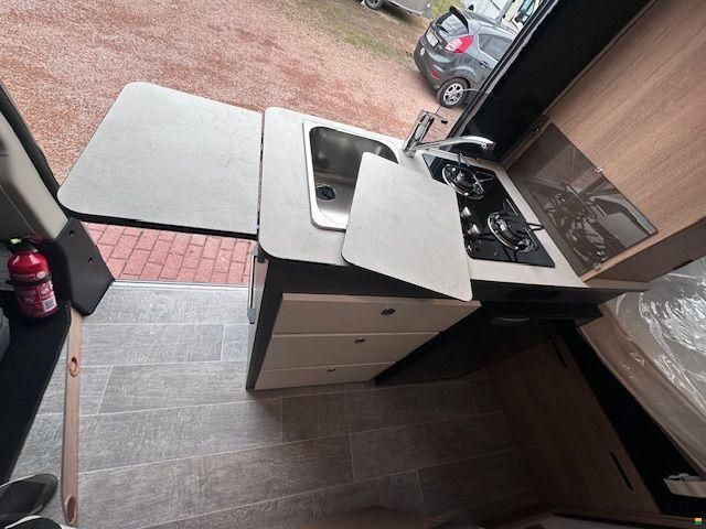 Giottiline Privilege 54T