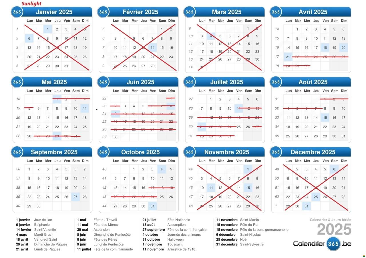 Sunlight Cliff 600X RT