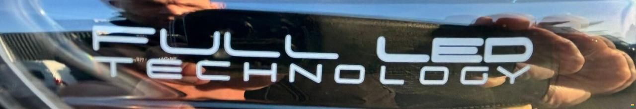 Giottiline Siena 330