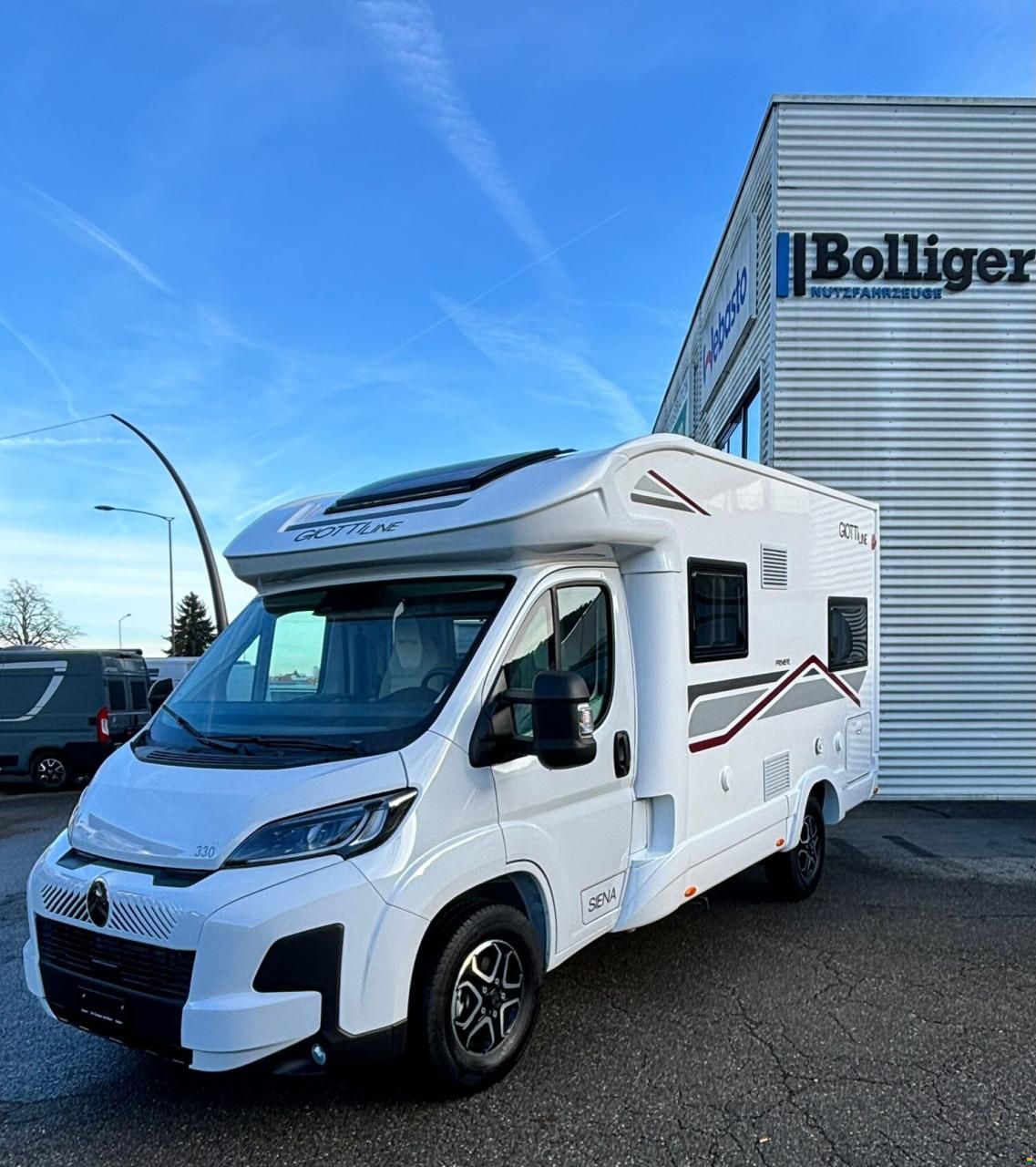 Giottiline Siena 330